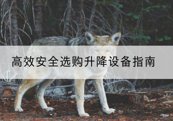 双流升降货梯厂家推荐-*安全选购升降设备指南