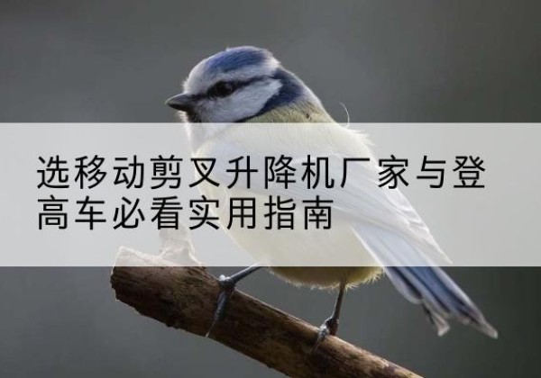 双流电动升降机厂家-选移动剪叉升降机厂家与登高车必看实用指南
