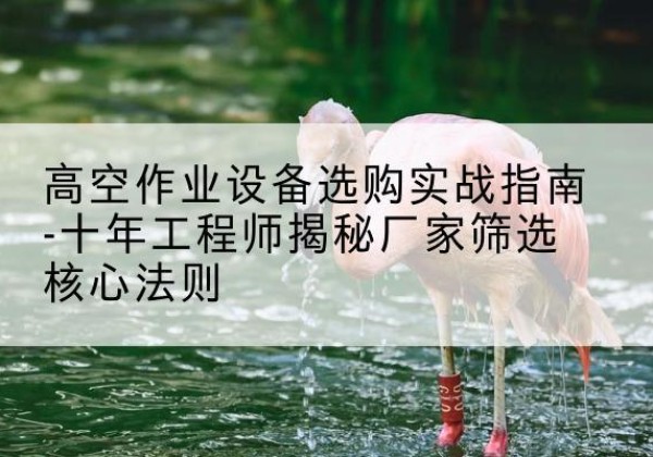 双流剪叉式升降机厂家-高空作业设备选购实战指南-十年工程师揭秘厂家筛选核心法则